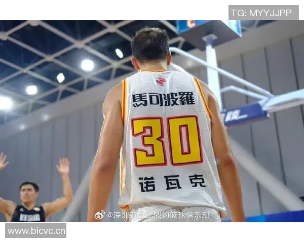 深圳篮球队在挑战赛中的耐力表现分析与总结